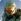 Halo: The Master Chief Collection